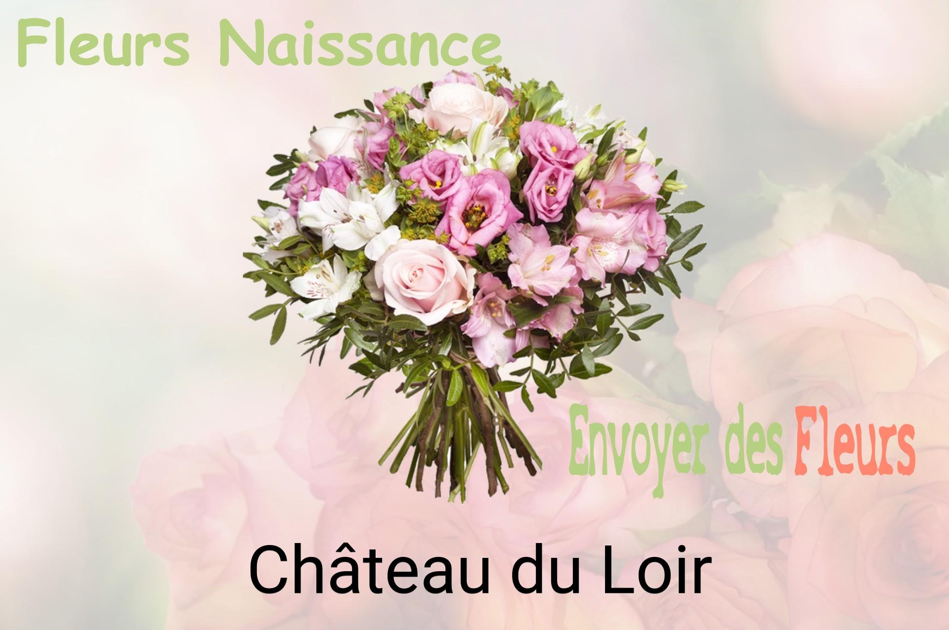 Bouquet de fleurs de naissance livré à Château-du-Loir