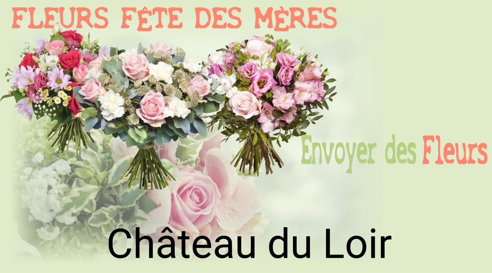 Bouquet de Fête des Mères livré à Château-du-Loir